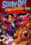 Scooby-Doo! Abracadabra-Doo poster image