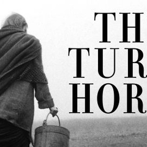 The Turin Horse photo 4