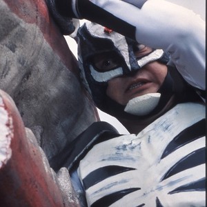 Zebraman photo 6