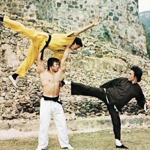 Bruce Lee - Rotten Tomatoes