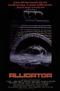 Alligator