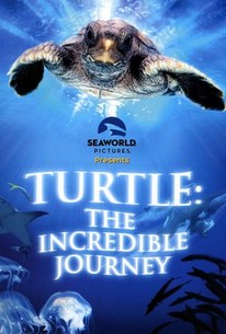 Poster for Turtle: The Incredible Journey
