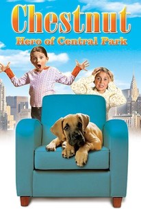 Chestnut: Hero of Central Park | Rotten Tomatoes