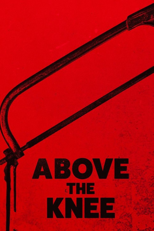 Above the Knee poster