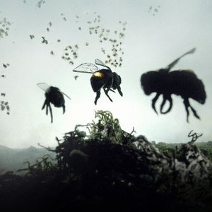 "Vanishing of the Bees photo 1"