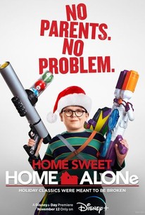 The only new Home Alone movie I will accept : r/funny