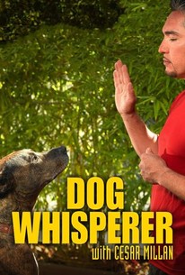 Dog Whisperer: Season 5 | Rotten Tomatoes