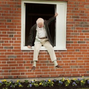 The 100-Year-Old Man Who Climbed Out the Window and Disappeared photo 16