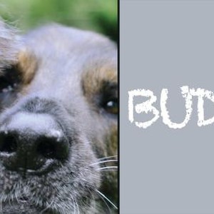 "Buddy photo 4"