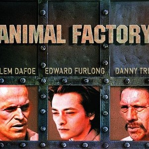 Animal Factory - Rotten Tomatoes