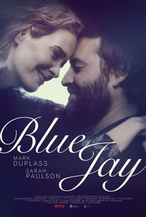 Watch trailer for Blue Jay