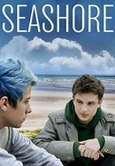 Seashore poster image