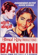 Bandini poster image