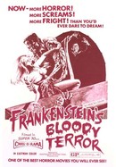 Frankenstein's Bloody Terror poster image