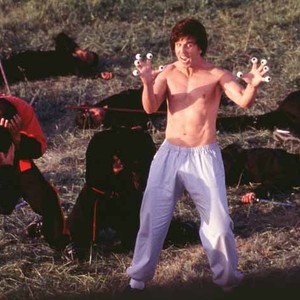 Kung Pow: Enter the Fist photo 6