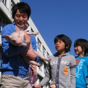 School Days with a Pig (2008) photo 4