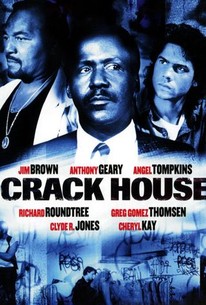 Poster for Crack House
