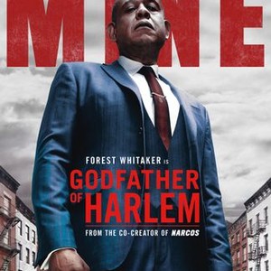 Godfather of Harlem - Rotten Tomatoes