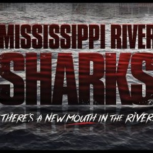 "Mississippi River Sharks photo 4"