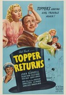 Topper Returns poster image
