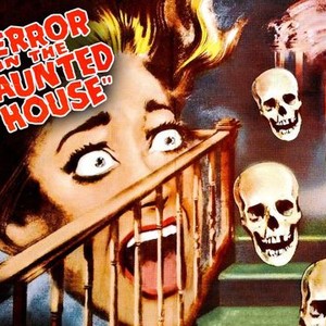 Terror in the Haunted House photo 5