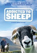 Addicted to Sheep poster image