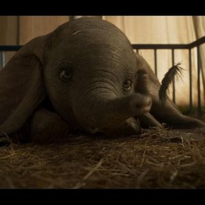 Dumbo - Rotten Tomatoes