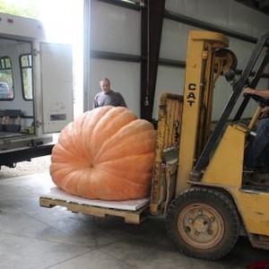 Jarrett Joyce - Rotten Tomatoes