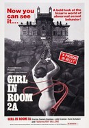 The Girl in Room 2A poster image