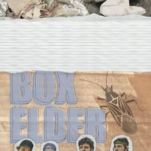 Box Elder (2008) photo 6