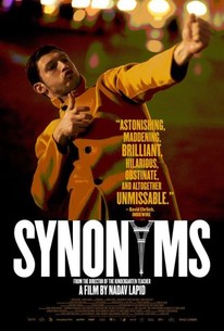 Poster for Synonymes
