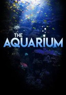 The Aquarium poster image