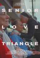 Senior Love Triangle poster image