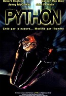 Python poster image