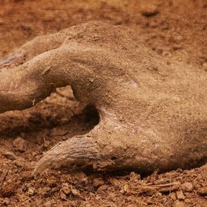 The Burrowers photo 10