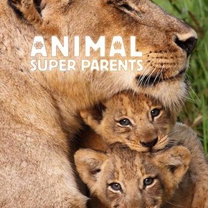 Animal Super Parents - Rotten Tomatoes