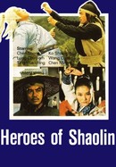 Heroes of Shaolin poster image