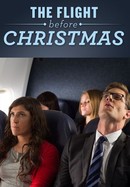 The Flight Before Christmas poster image