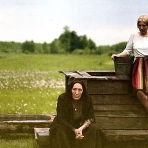 The Birch Wood (1972) photo 4