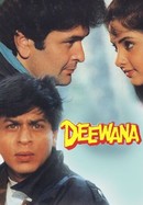 Deewana poster image