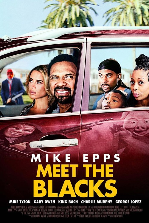 Meet the Blacks poster