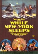 While New York Sleeps poster image