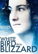 White Bird in a Blizzard poster image