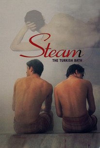 Steam: The Turkish Bath poster