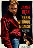 Rebel Without a Cause poster image