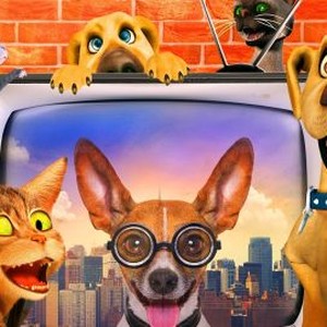 The Funny Life of Pets - Rotten Tomatoes