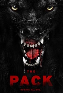 Watch trailer for The Pack
