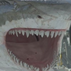 Sharktopus vs. Whalewolf (2015) photo 13