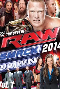 WWE: Best of Raw & Smackdown 2014 Vol. 1