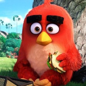 The Angry Birds Movie (2016) photo 12